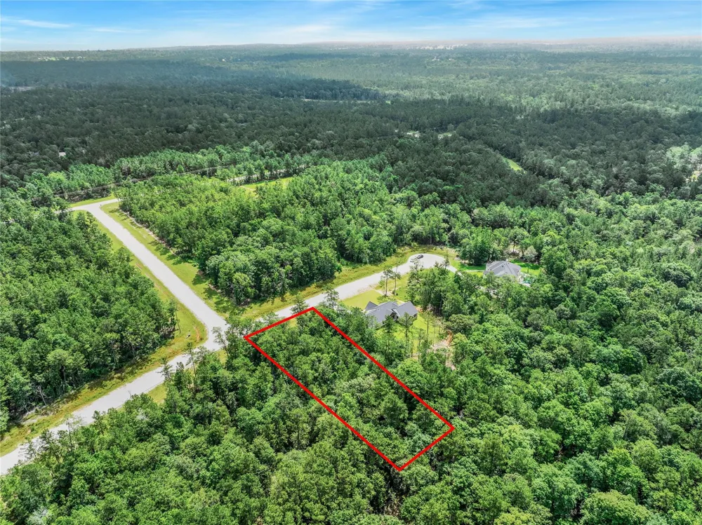 103 Eagle Run Road Willis, TX 77378