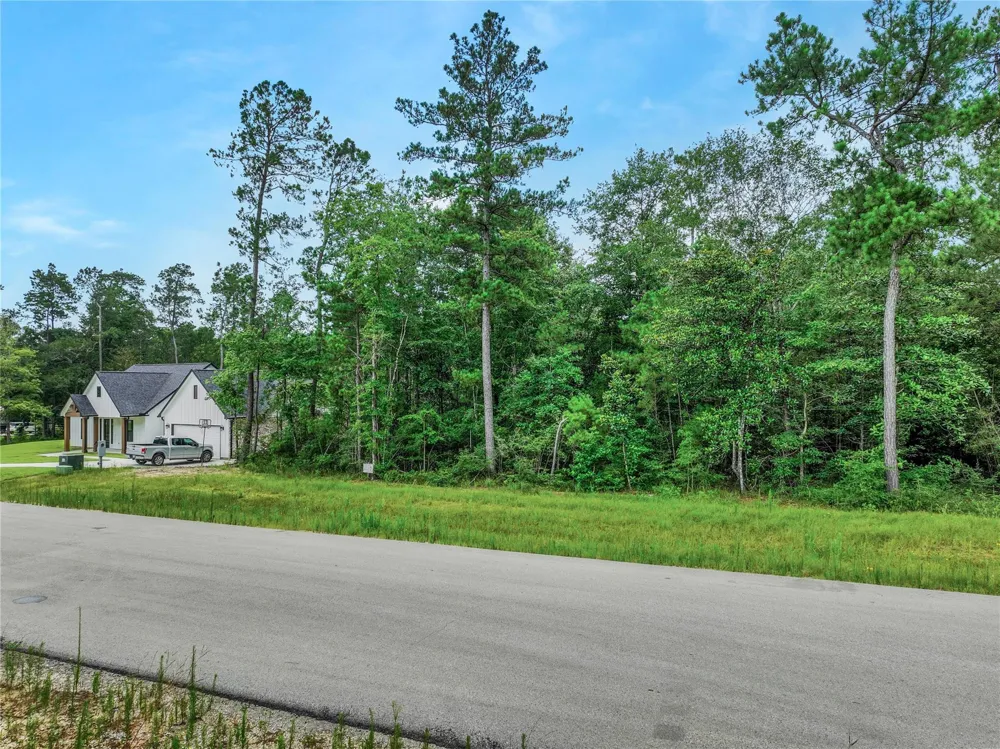 103 Eagle Run Road Willis, TX 77378