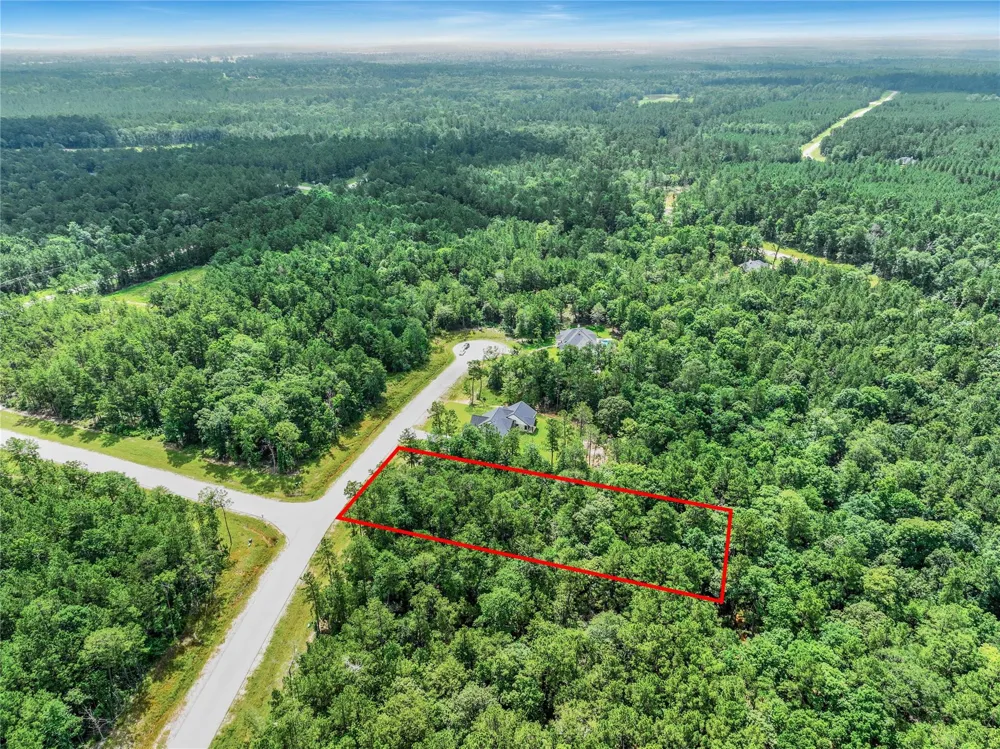 103 Eagle Run Road Willis, TX 77378