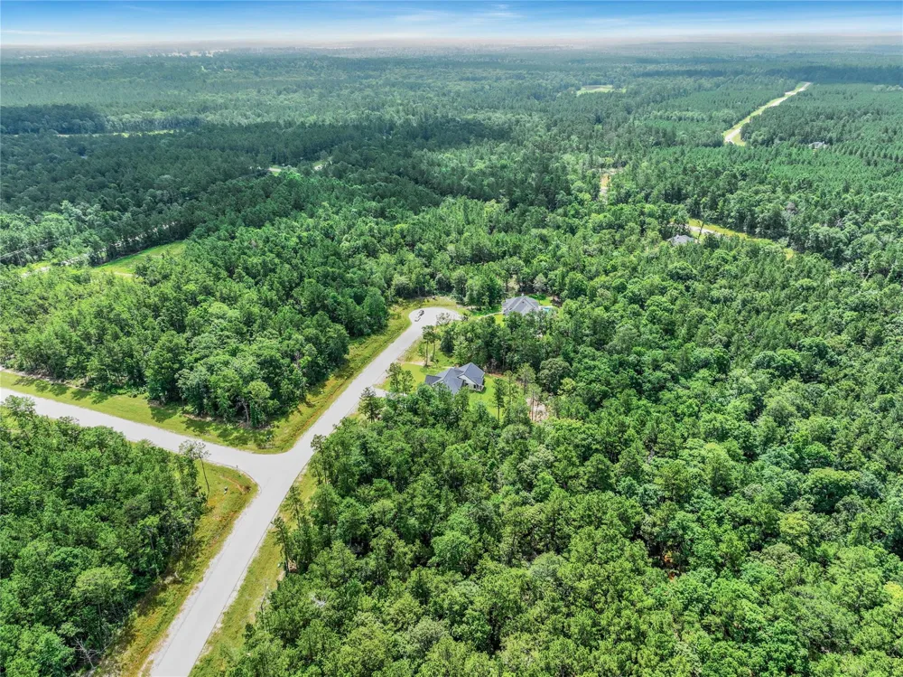 103 Eagle Run Road Willis, TX 77378