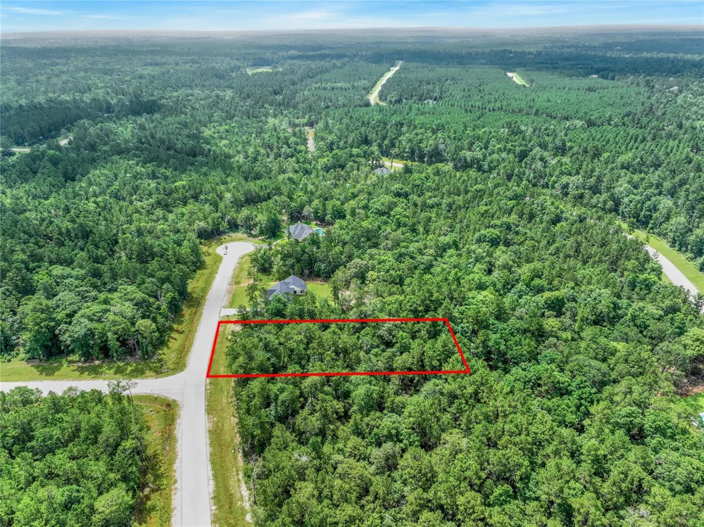 103 Eagle Run Road Willis, TX 77378