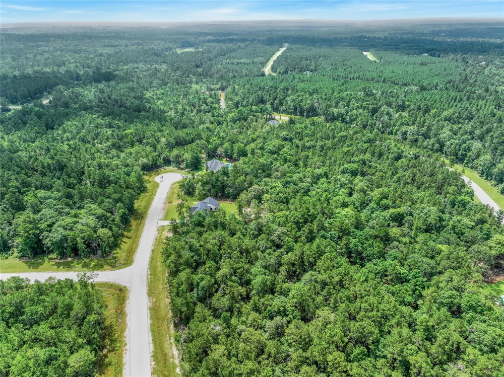 103 Eagle Run Road Willis, TX 77378