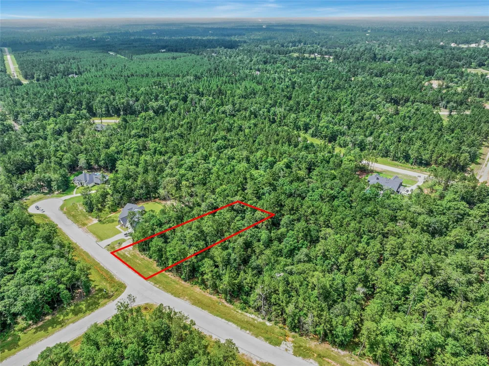 103 Eagle Run Road Willis, TX 77378