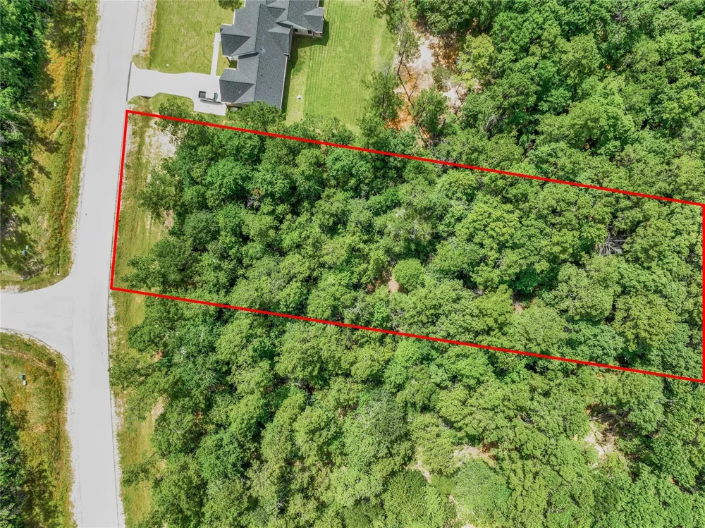 103 Eagle Run Road Willis, TX 77378