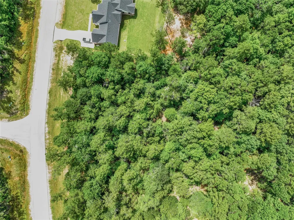 103 Eagle Run Road Willis, TX 77378