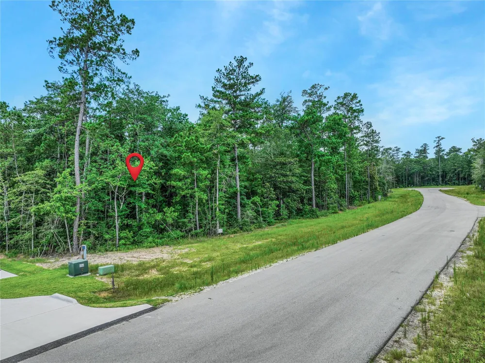 103 Eagle Run Road Willis, TX 77378