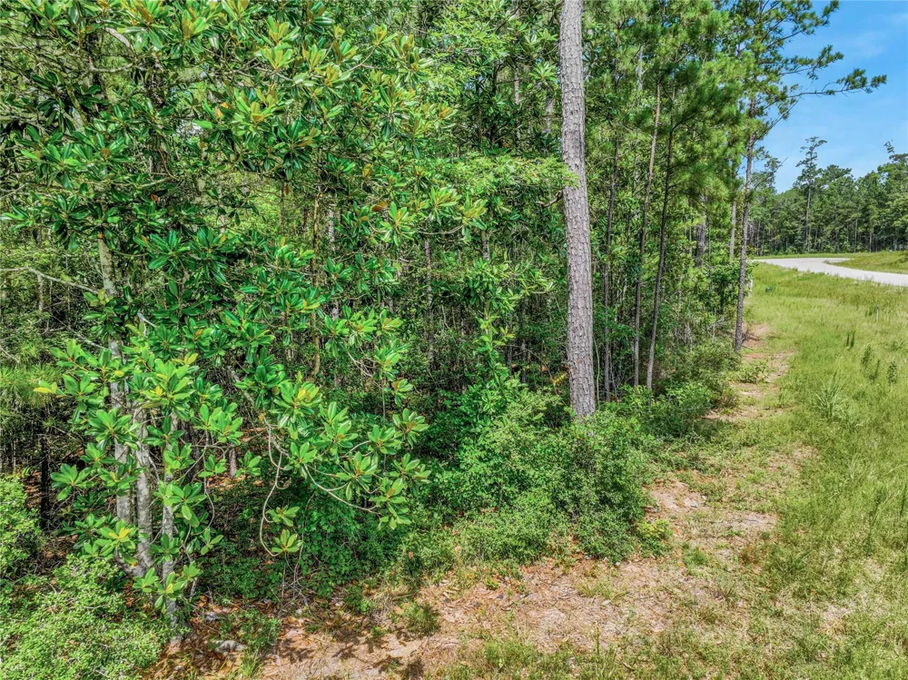 103 Eagle Run Road Willis, TX 77378