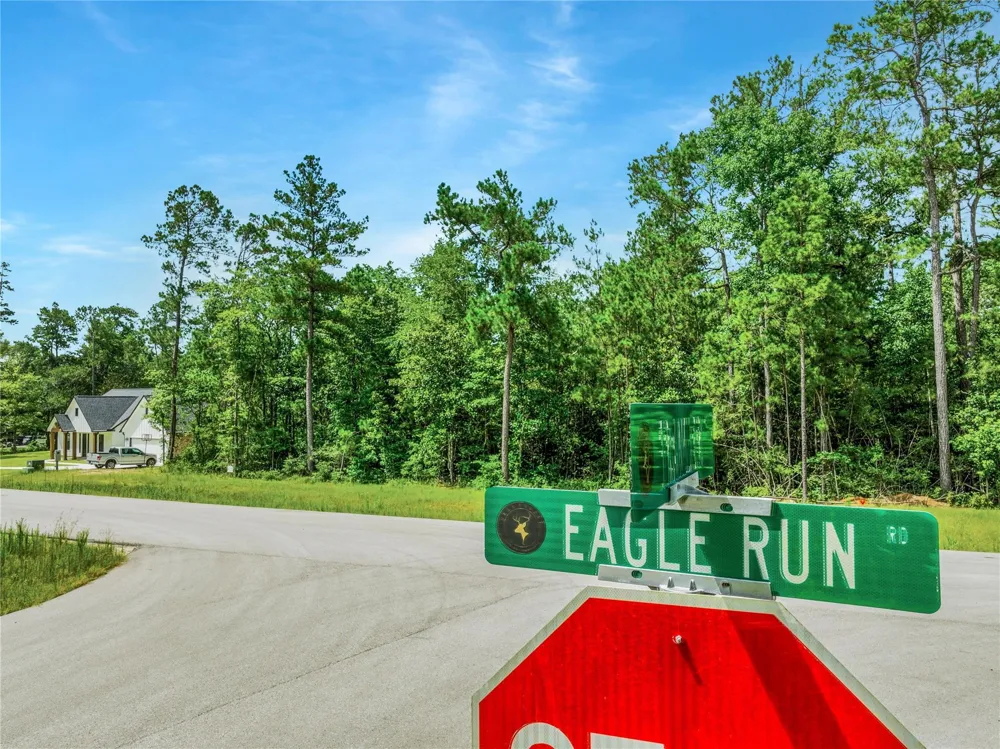 103 Eagle Run Road Willis, TX 77378