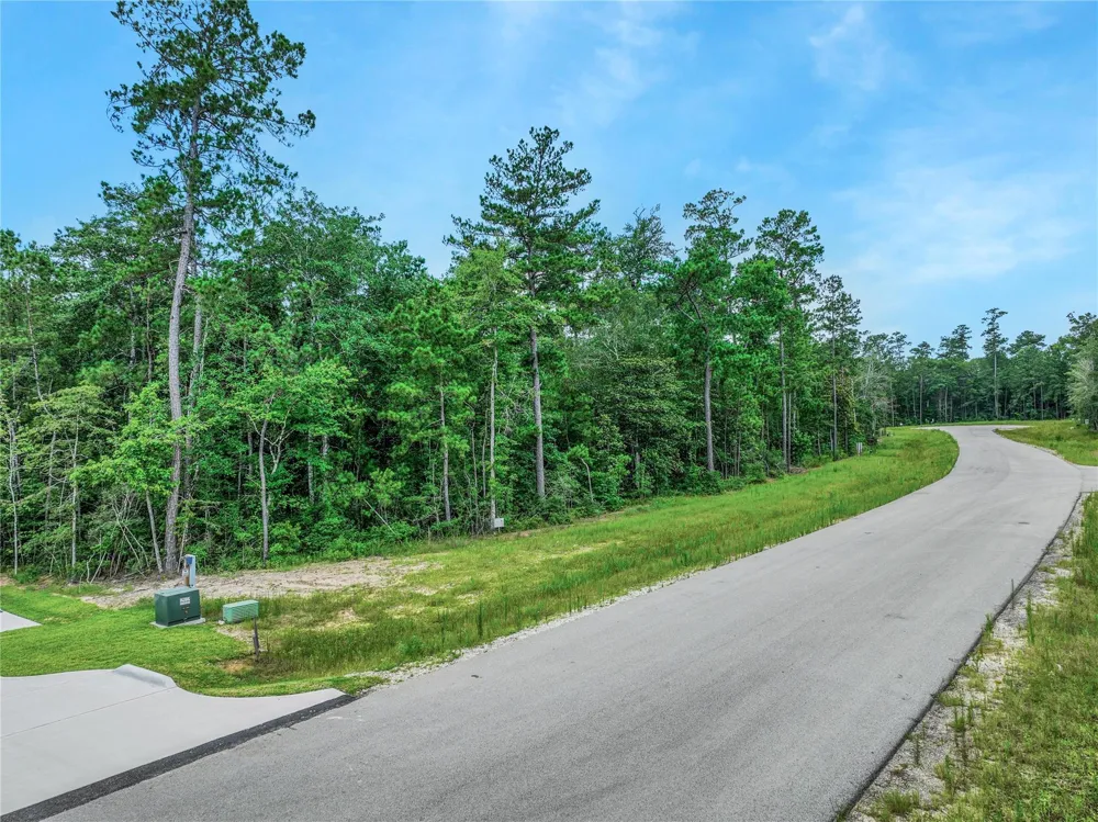 103 Eagle Run Road Willis, TX 77378
