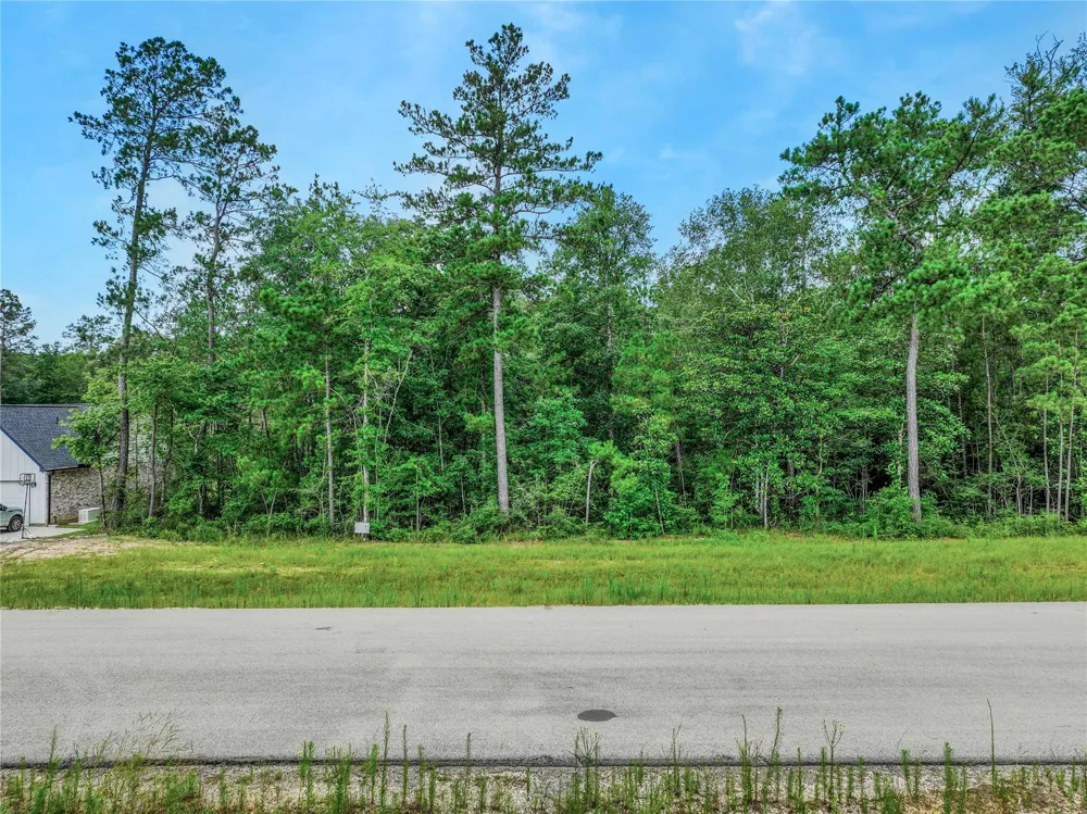 103 Eagle Run Road Willis, TX 77378
