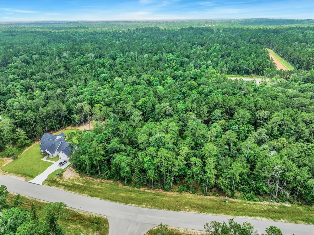103 Eagle Run Road Willis, TX 77378