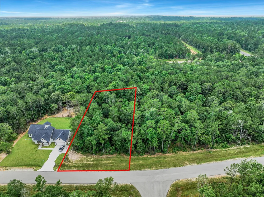 103 Eagle Run Road Willis, TX 77378