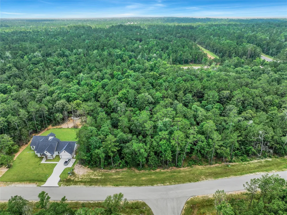 103 Eagle Run Road Willis, TX 77378