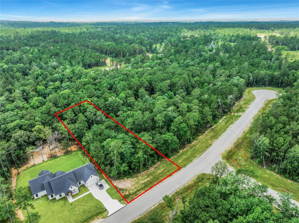 103 Eagle Run Road Willis, TX 77378
