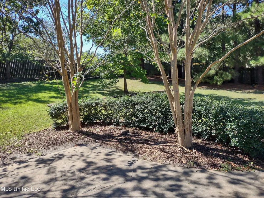 336 Pebble Creek Drive Madison, MS 39110