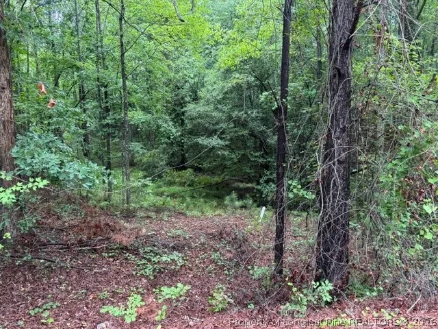 Carolina Way Sanford, NC 27332
