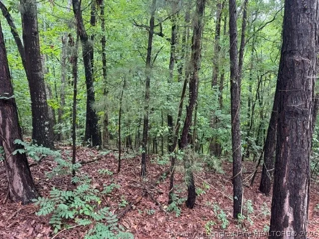 Carolina Way Sanford, NC 27332