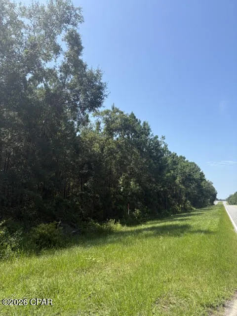 Blueberry Drive