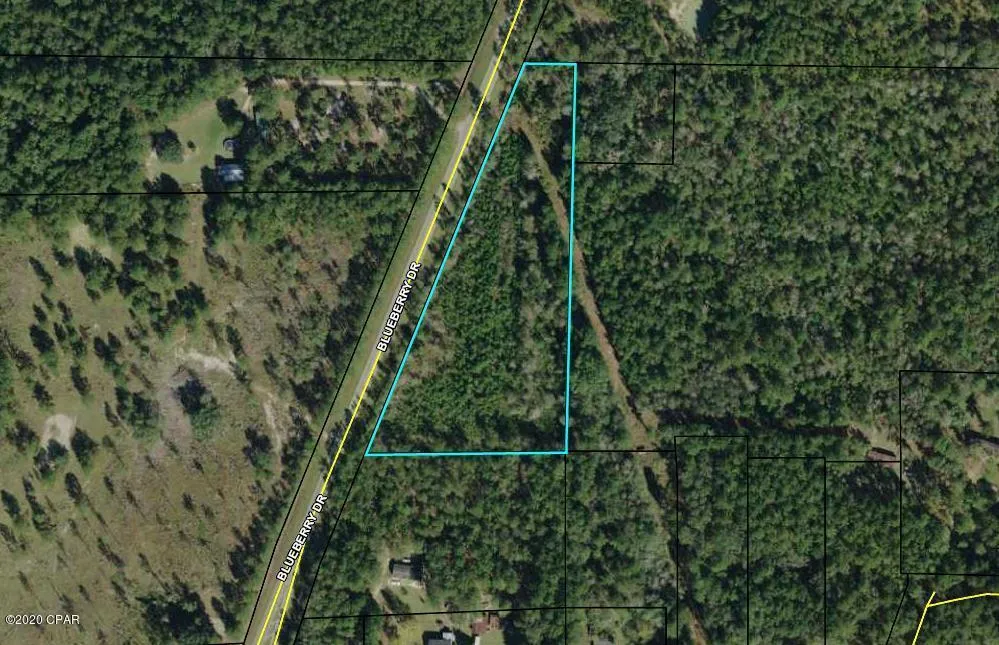 Blueberry Drive Sneads, FL 32460