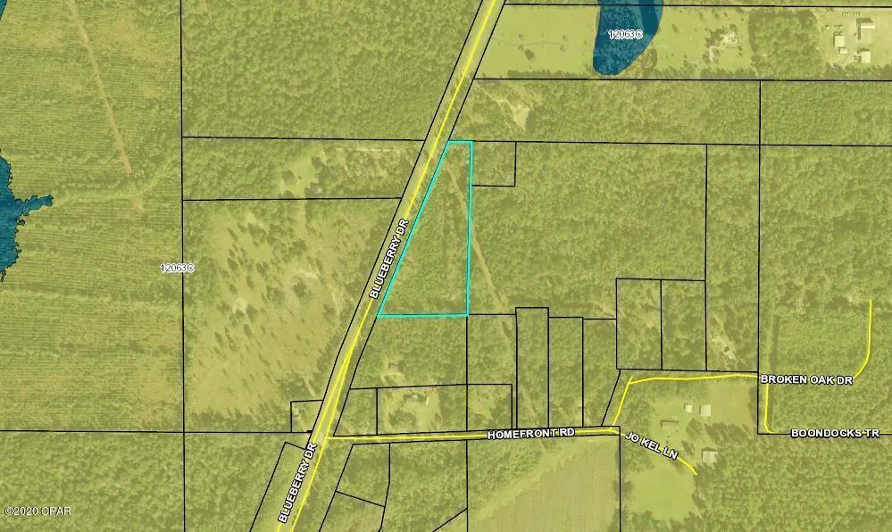 Blueberry Drive Sneads, FL 32460