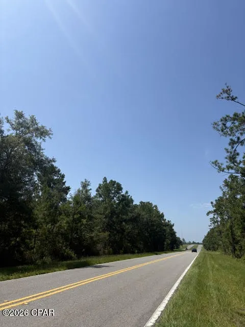 Blueberry Drive Sneads, FL 32460