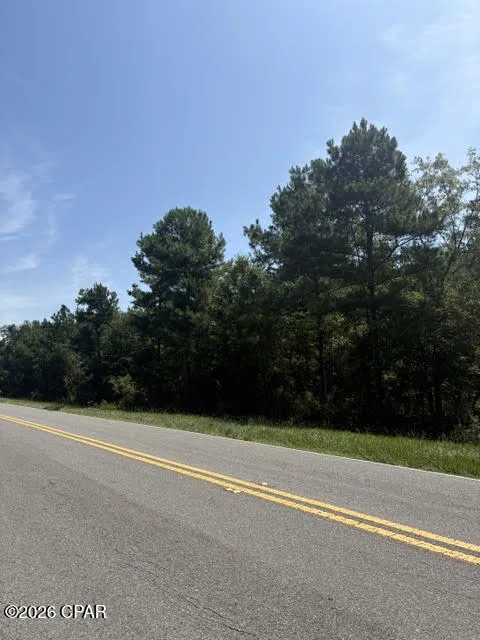 Blueberry Drive Sneads, FL 32460