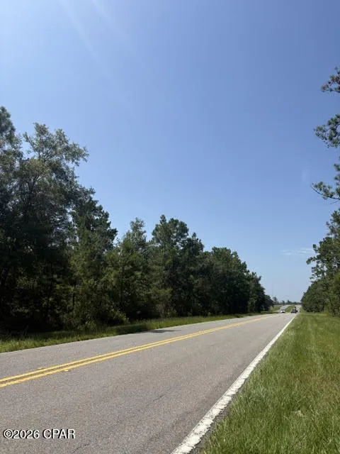 Blueberry Drive Sneads, FL 32460