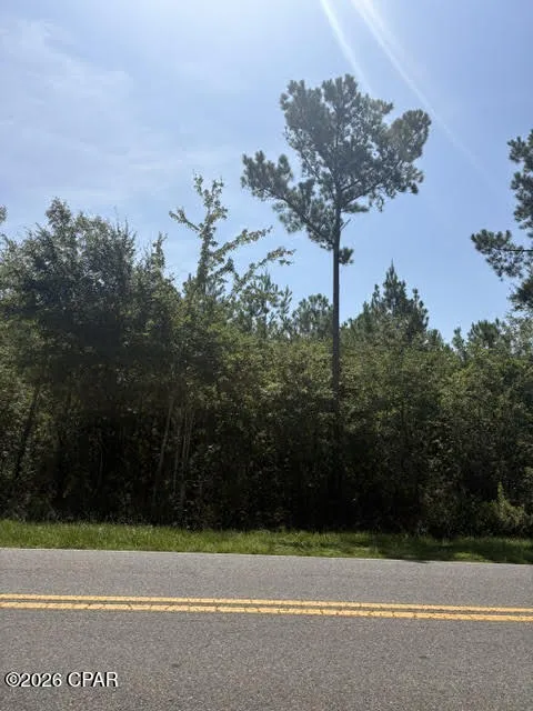 Blueberry Drive Sneads, FL 32460