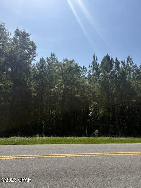 Blueberry Drive Sneads, FL 32460