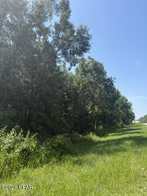 Blueberry Drive Sneads, FL 32460