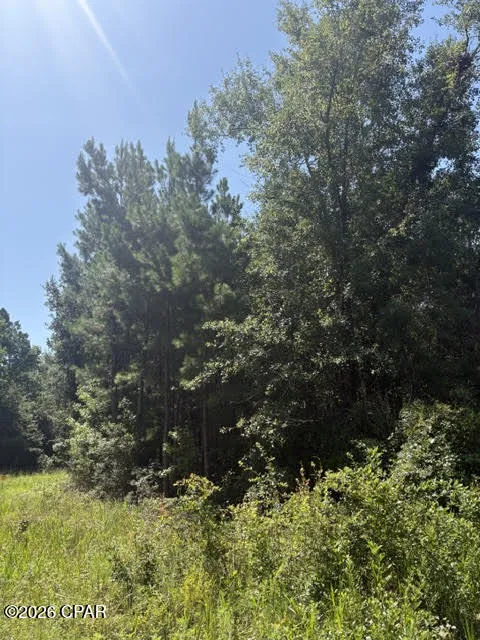 Blueberry Drive Sneads, FL 32460