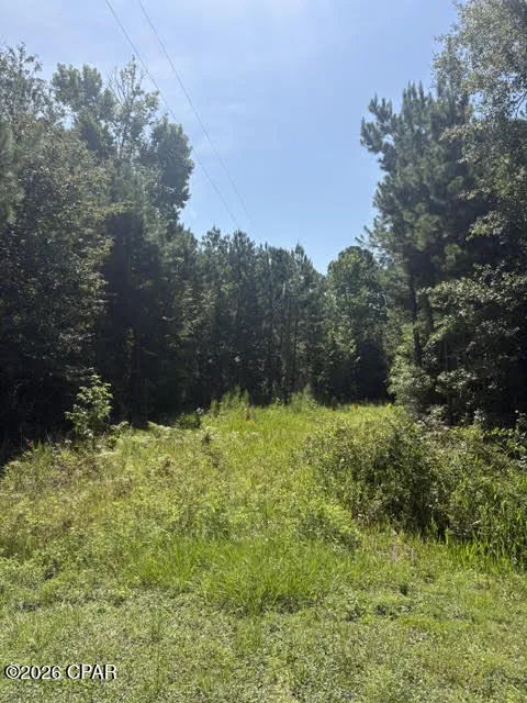 Blueberry Drive Sneads, FL 32460