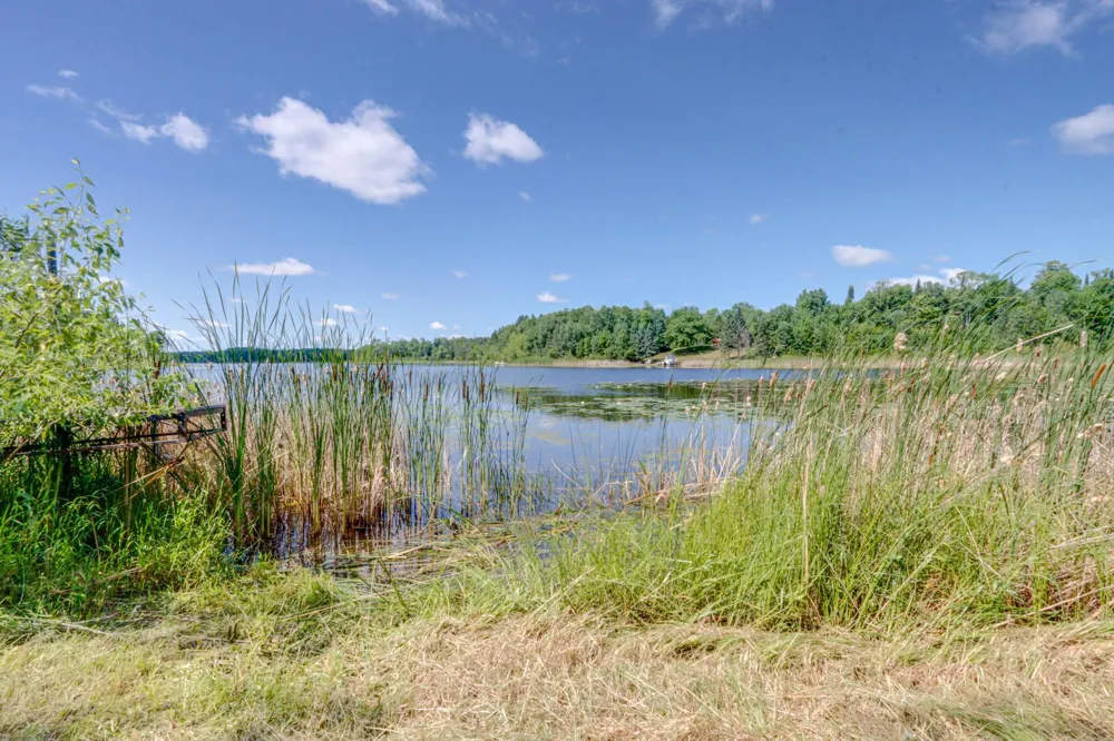 62038 Back of the Bay Trail Bigfork, MN 56628