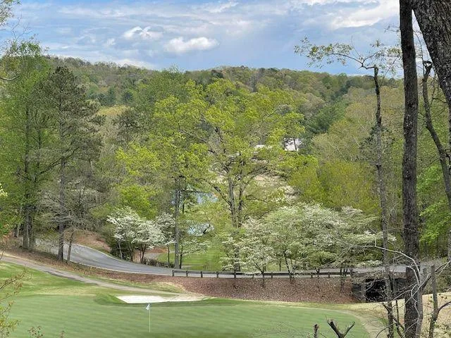 1095 McElroy Mountain Drive Big Canoe, GA 30143