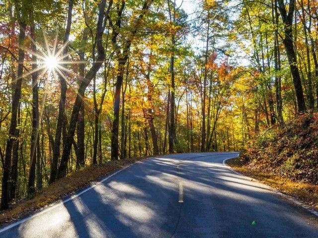 1095 McElroy Mountain Drive Big Canoe, GA 30143