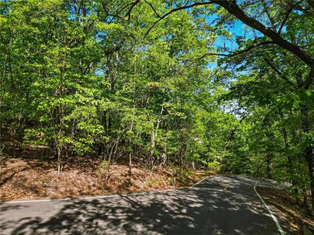 1095 McElroy Mountain Drive Big Canoe, GA 30143