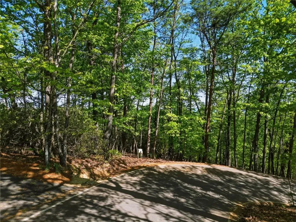 1095 McElroy Mountain Drive Big Canoe, GA 30143