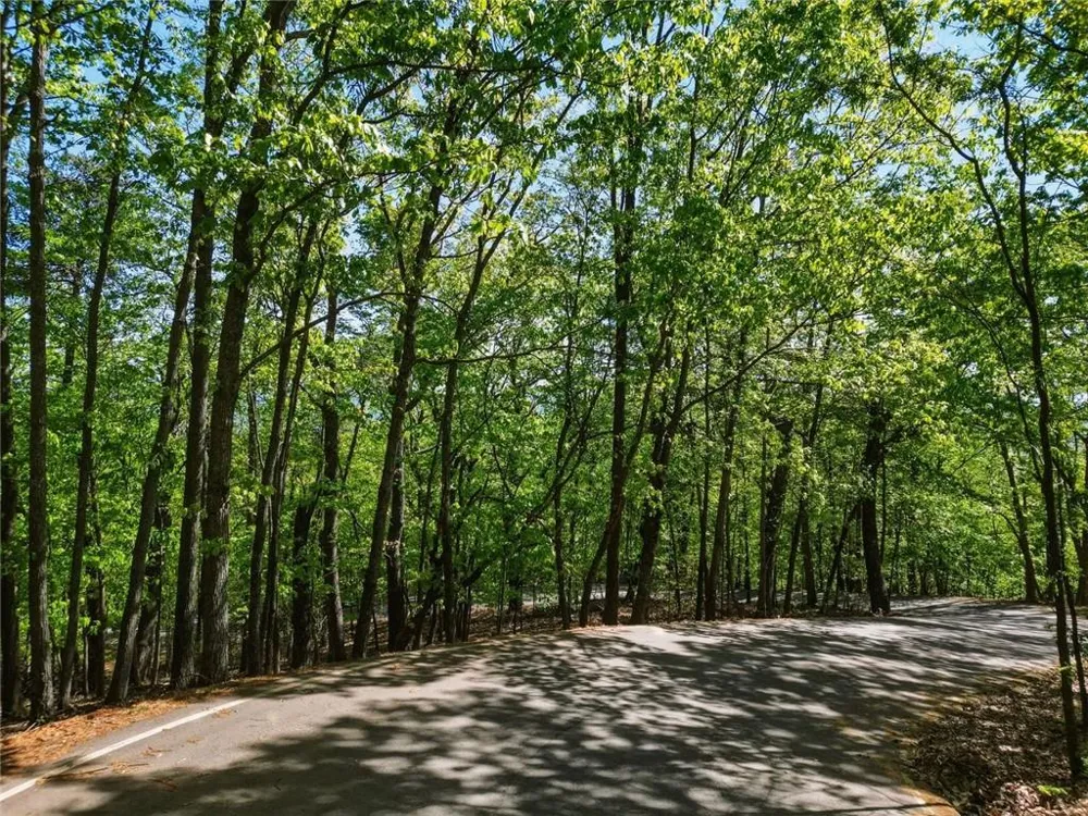 1095 McElroy Mountain Drive Big Canoe, GA 30143