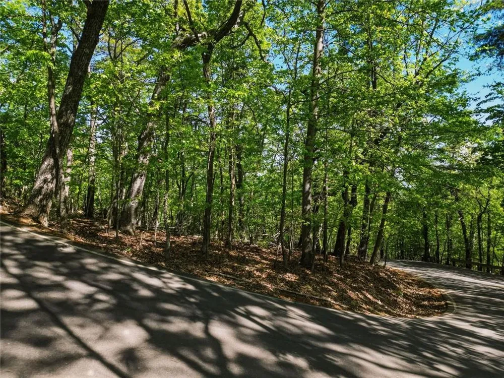 1095 McElroy Mountain Drive Big Canoe, GA 30143