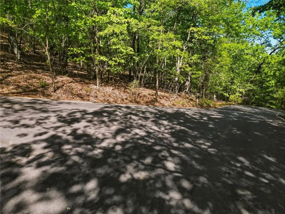 1095 McElroy Mountain Drive Big Canoe, GA 30143