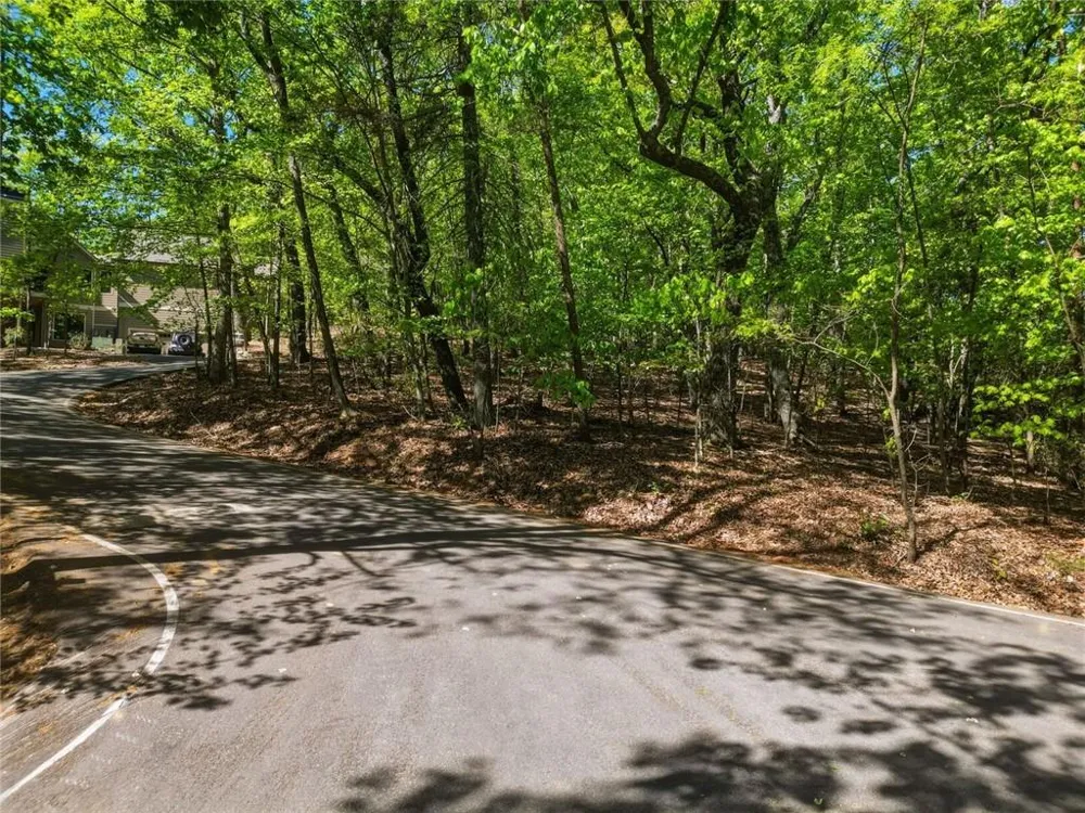 1095 McElroy Mountain Drive Big Canoe, GA 30143