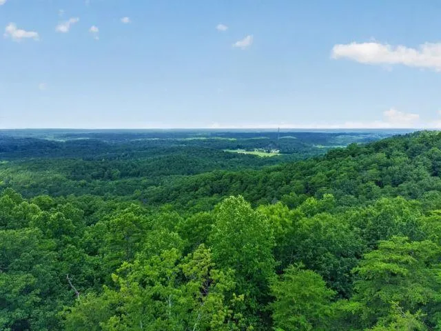 726 Railey Ridge NE Ranger, GA 30734
