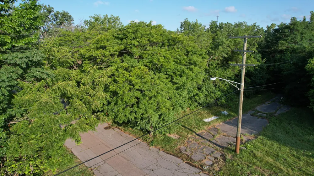 2640 W Forest Avenue Detroit, MI 48208