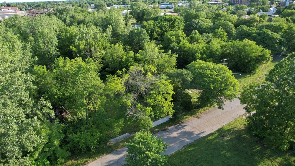 2640 W Forest Avenue Detroit, MI 48208