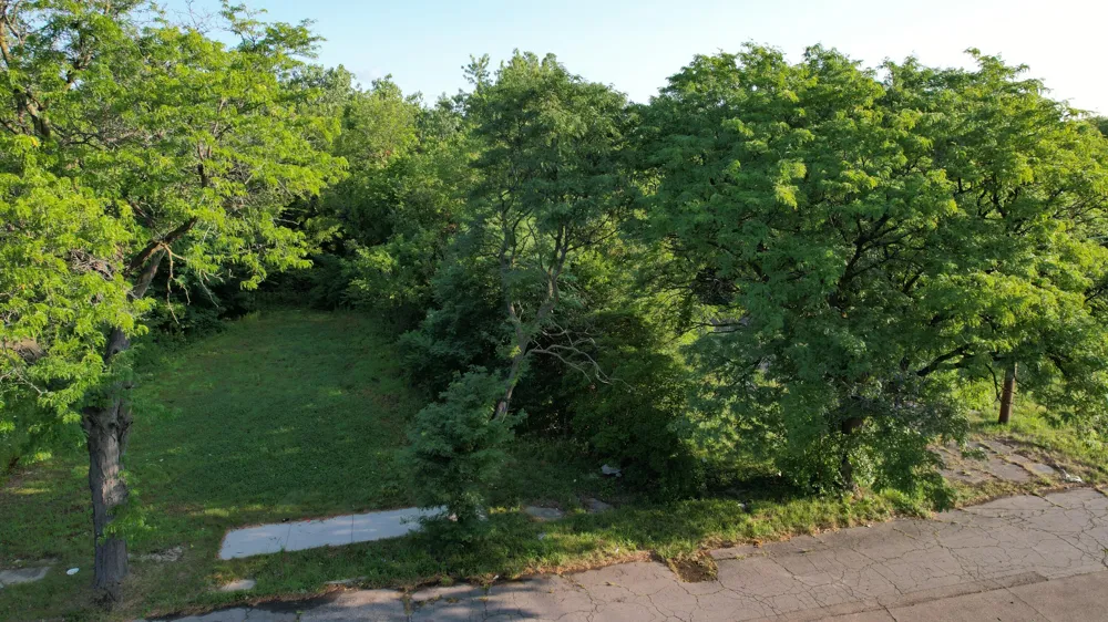 2640 W Forest Avenue Detroit, MI 48208
