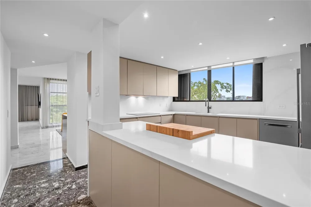 1223 LUCHETTI STREET #7S San Juan, PR 00907
