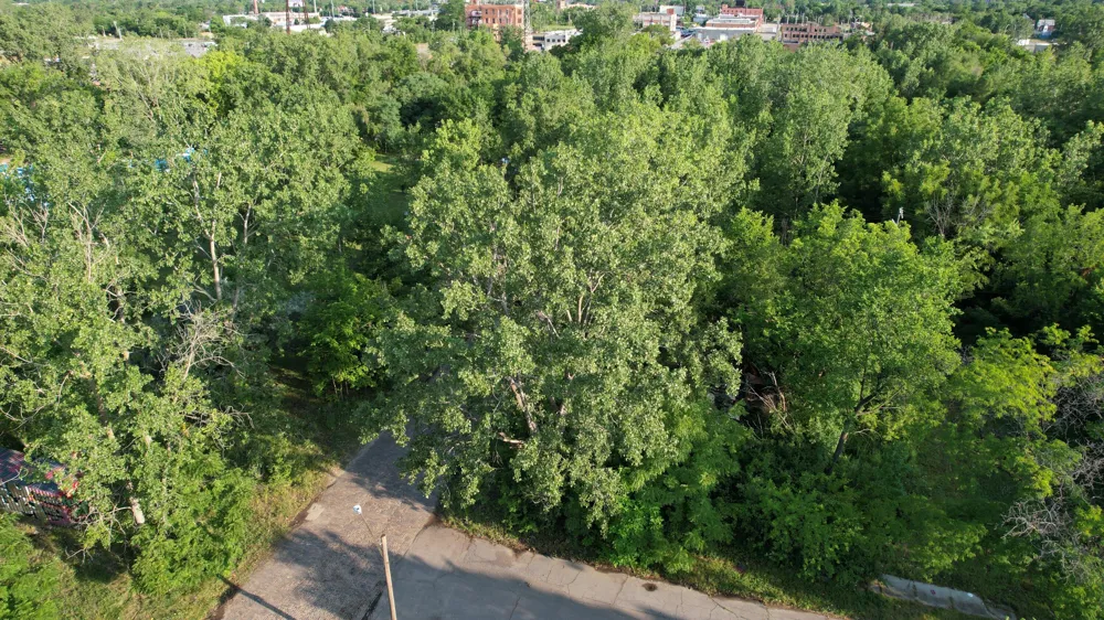 2660 W Forest Avenue Detroit, MI 48208