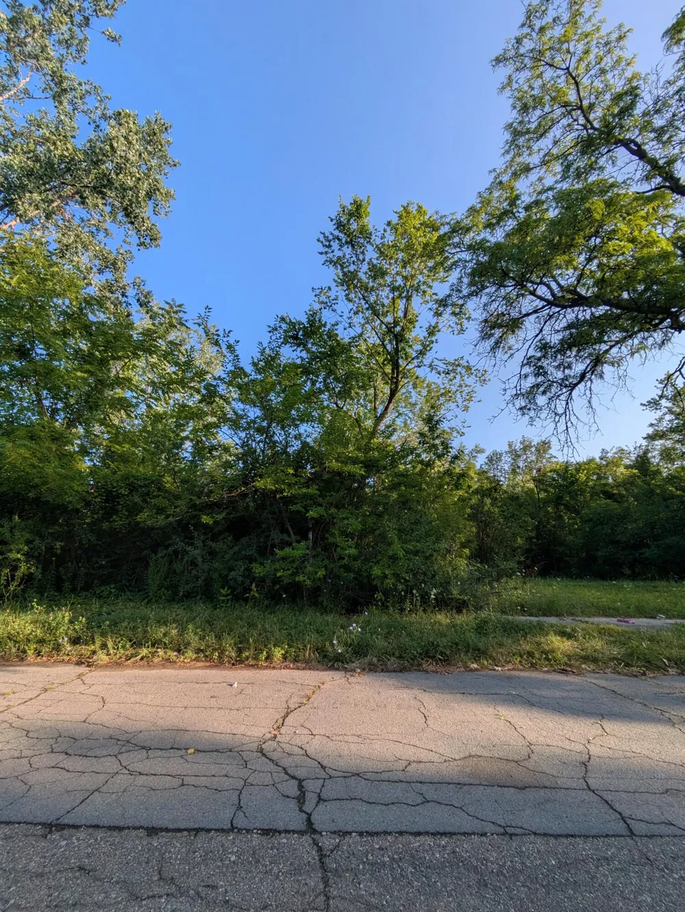 2660 W Forest Avenue Detroit, MI 48208
