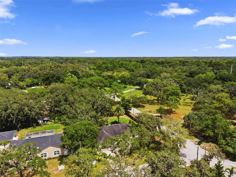 11240 MARQUERITE AVENUE New Port Richey, FL 34654
