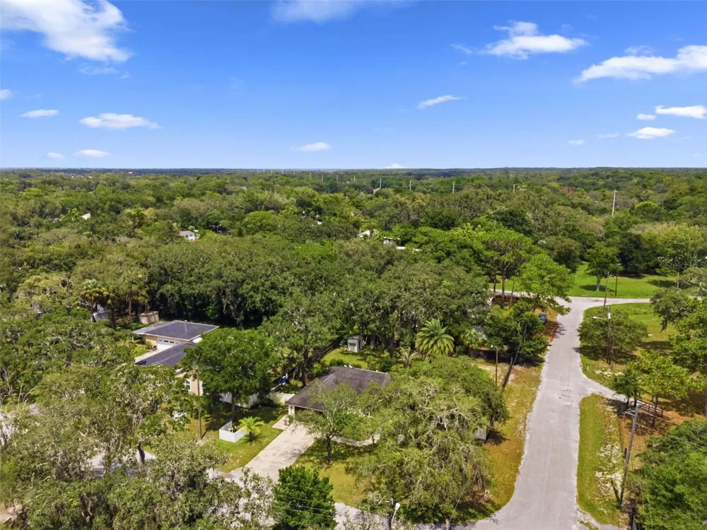 11240 MARQUERITE AVENUE New Port Richey, FL 34654